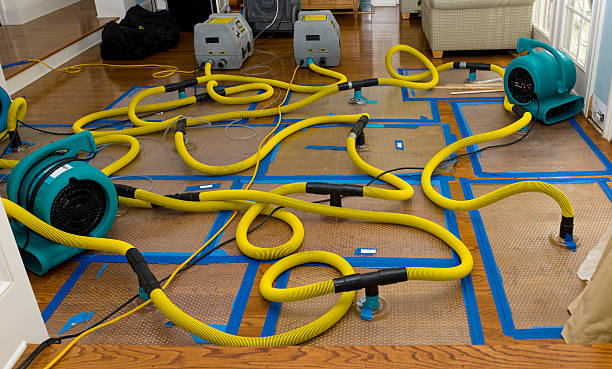 Professional Sewage Cleanup technician working in Morgantown, WV